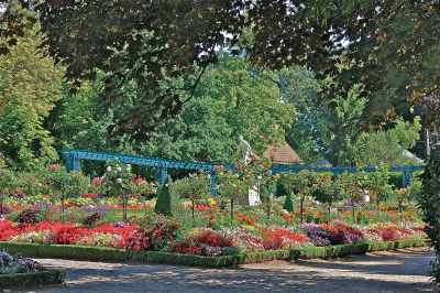 Botanical Garden-Jardin des Plantes photo 0