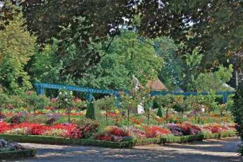 Jardín botánico - Jardin des Plantes