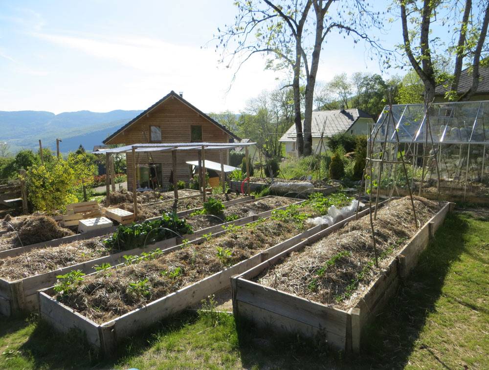 Jardin potager : Au refuge des graines