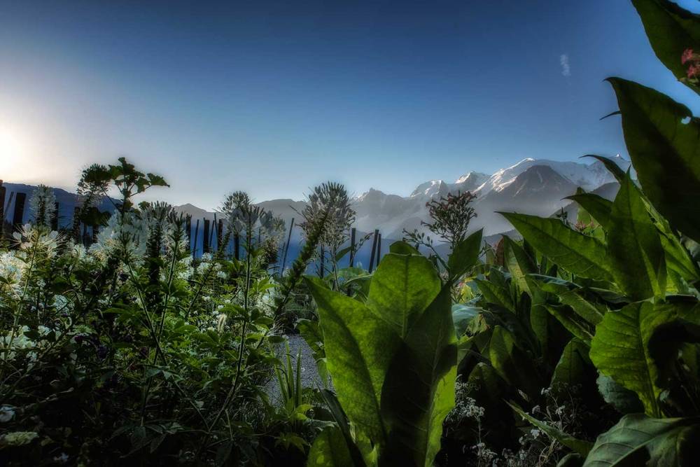 Offre d'emploi jardinier (H/F) au Jardin des Cimes - PASSY (74)
