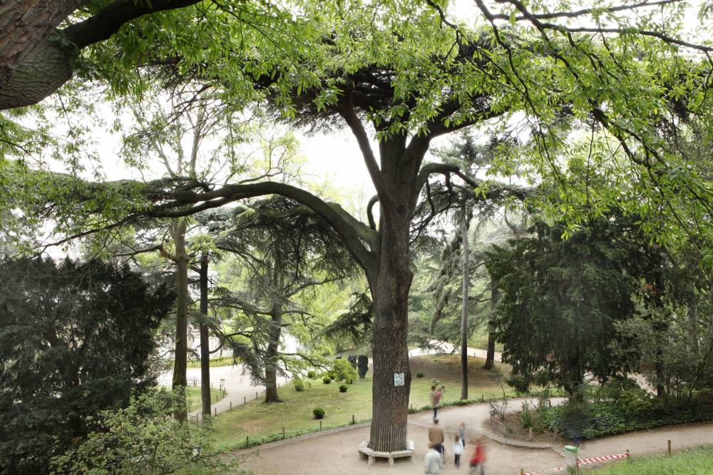巴黎植物园是前皇家花园。 photo 1