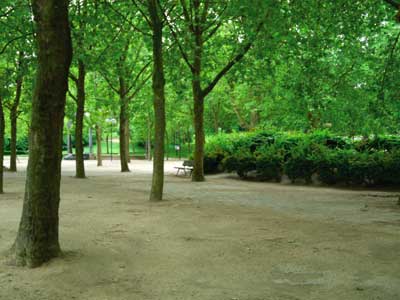 Parque Georges Brassens photo 9