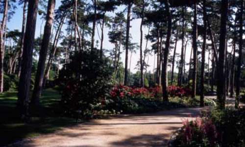 Parco Floreale di Parigi