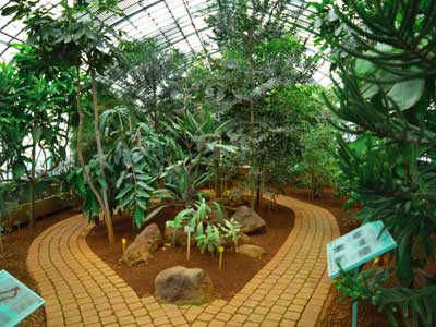 Gardens Of the Greenhouses Of Auteuil photo 6