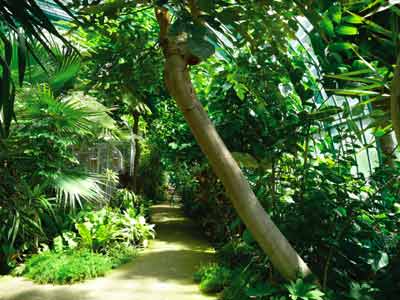 Gardens Of the Greenhouses Of Auteuil photo 7