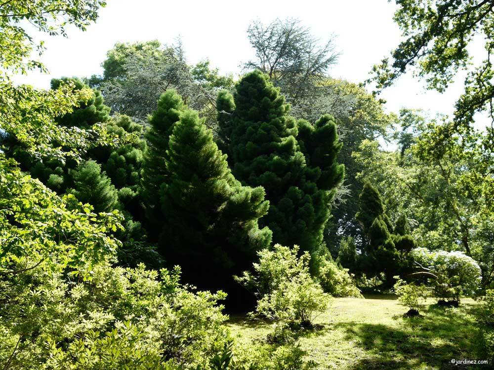 Moutiers树木公园和花园 photo 13