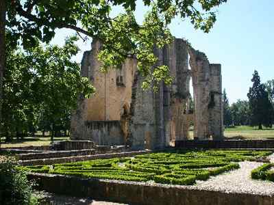 Parc de l'Abbaye du Lys photo 3