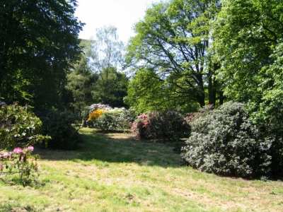 Arboretum de Chèvreloup photo 0