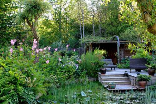 Jardin de la Grenouillère 