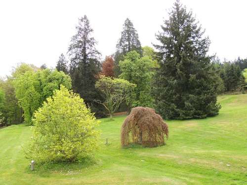 Arboretum Of Xertigny