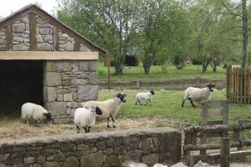 Jardin des Agneaux--Mouton Village