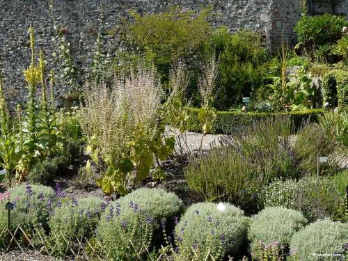 Jardin Botanique L'Herbarium des Remparts