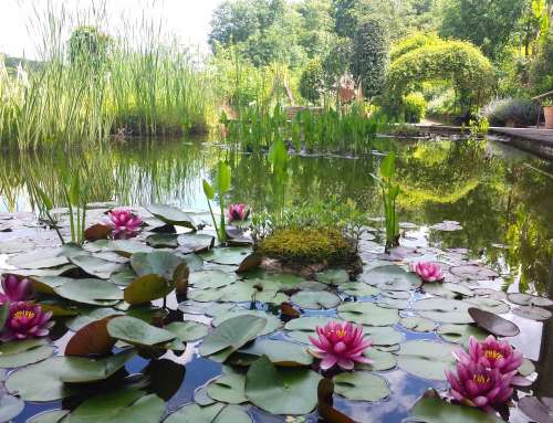 Le Jardin des Paradis