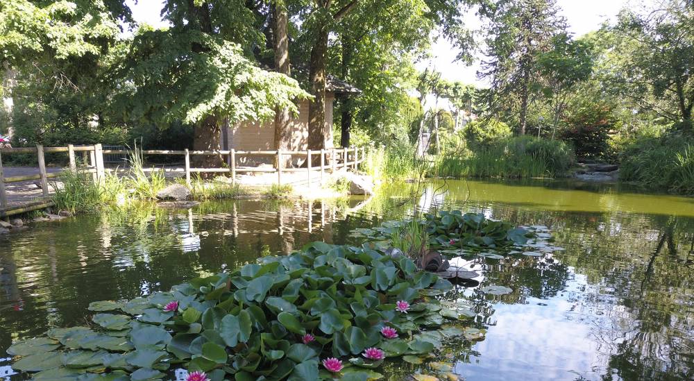 Jardin des Promenades de Mazamet