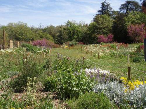 Le Jardin des Papillons et des Insectes