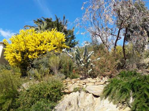 Le Parc Gonzalez