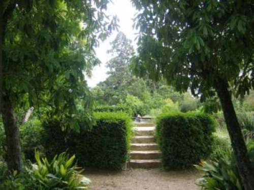 Jardín de Harmas de Jean-Henri Fabre