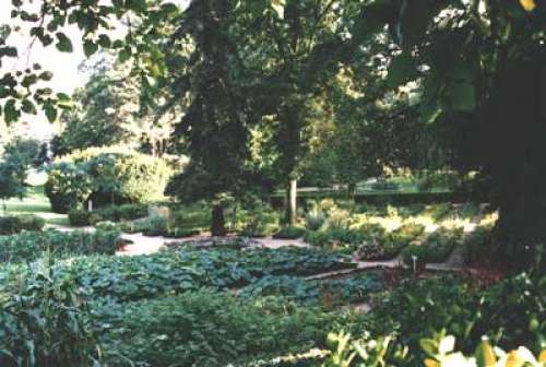 Jardin des Plantes de Poitiers