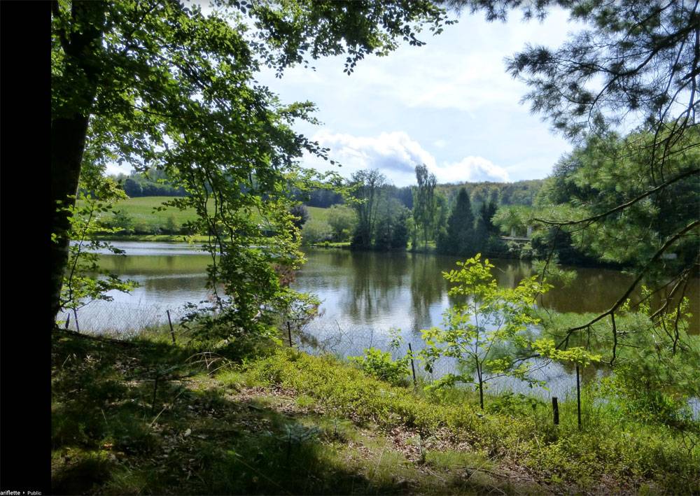 Arboretum de la Hutte