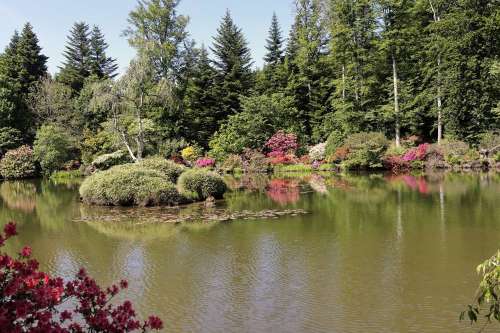 Jardin Botanique de Gondremer