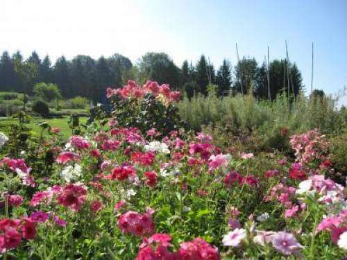 Plaine de Jardins