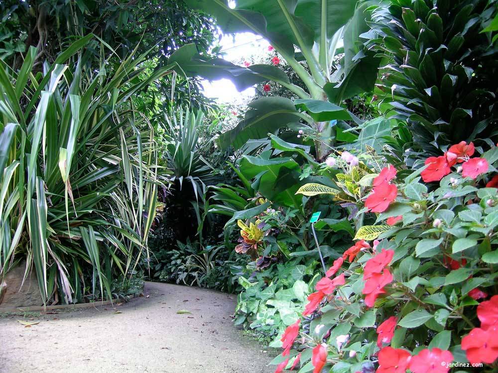 Park Moulin à Tan and Tropical greenhouses photo 1