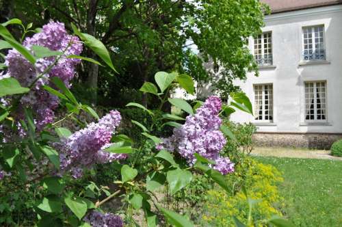 Jardin et Musée de Jean-Jacques Rousseau