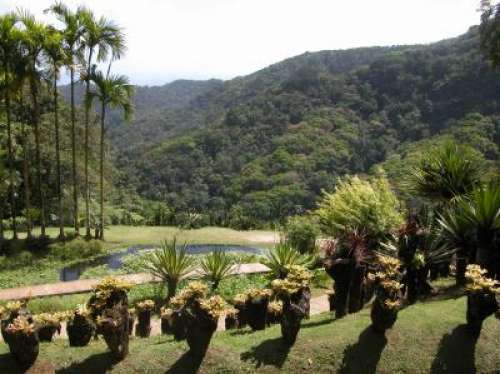 Jardin Botanique de Balata