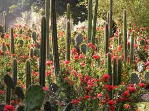 Le Jardin Botanique du Carbet