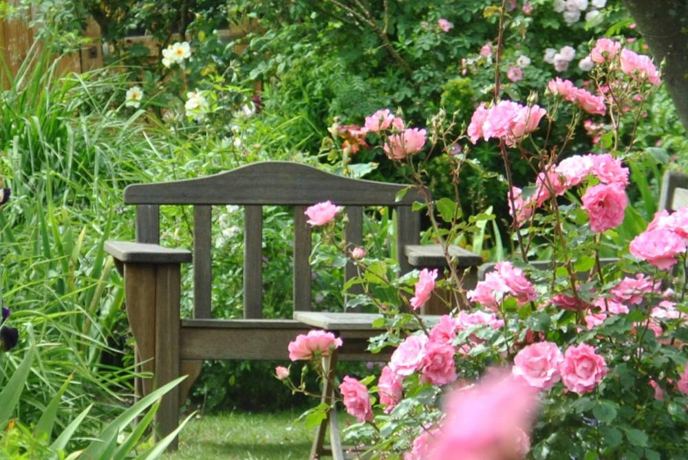 Jardin personnel d’André Eve