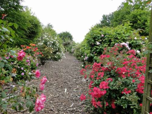 Les Jardins de La Peignie