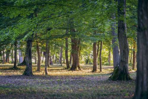 Parc du Château Siaurac