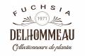 Fuchsia-Delhommeau