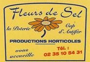 Fleurs de Sel