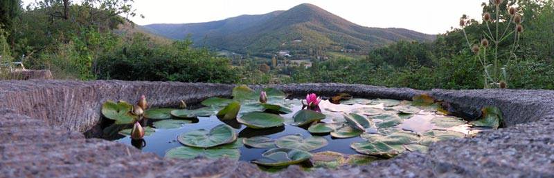 Frédéric Cochet Pépinière
