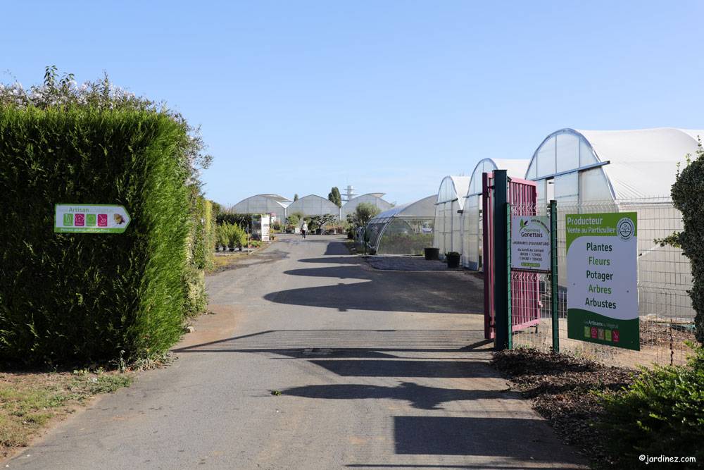 Genettais Nurseries 