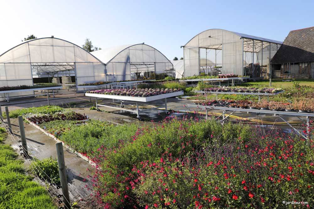 Ludivine's Greenhouses photo 0
