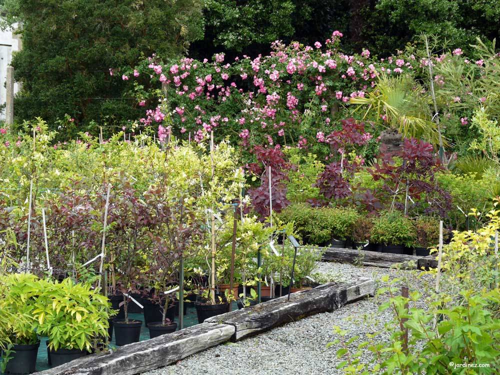 The nursery of the Domaine du Montmarin