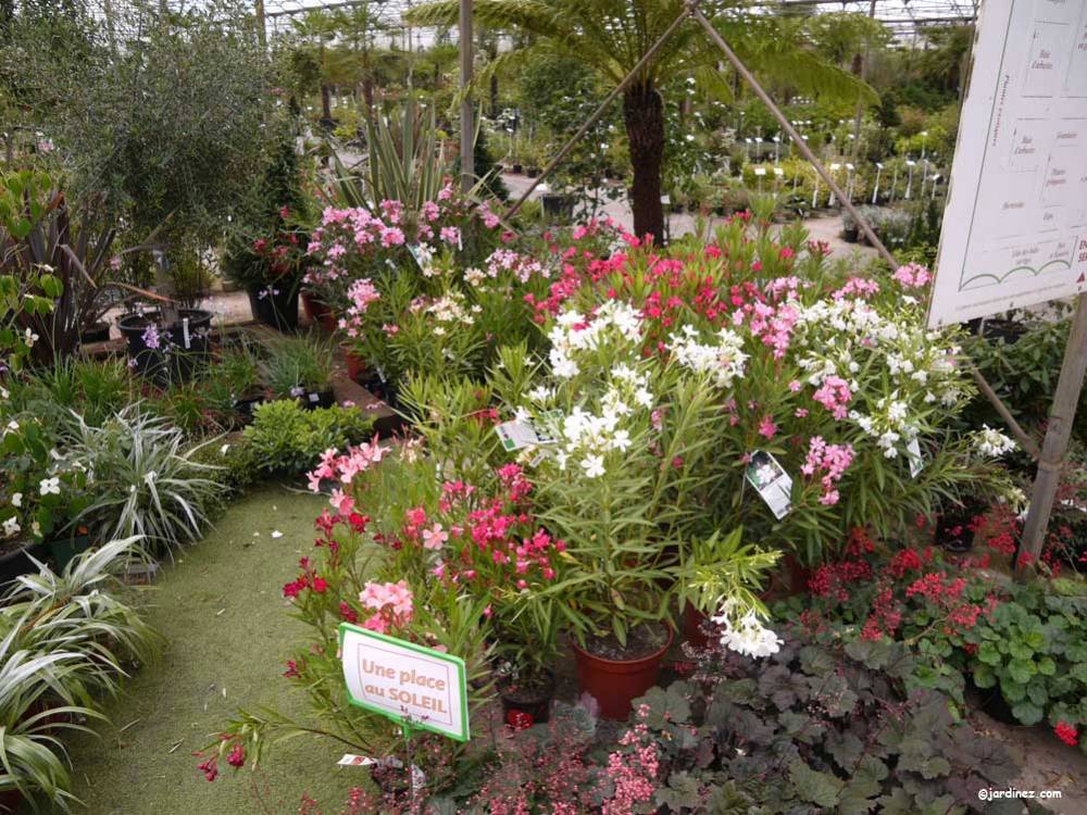 Huchet Nurseries