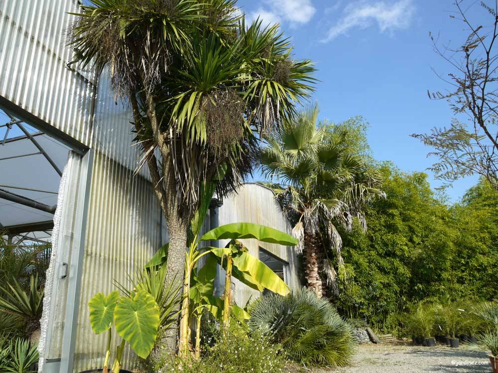 La Maison Du Bananier Pépinière écologique & Paysagiste