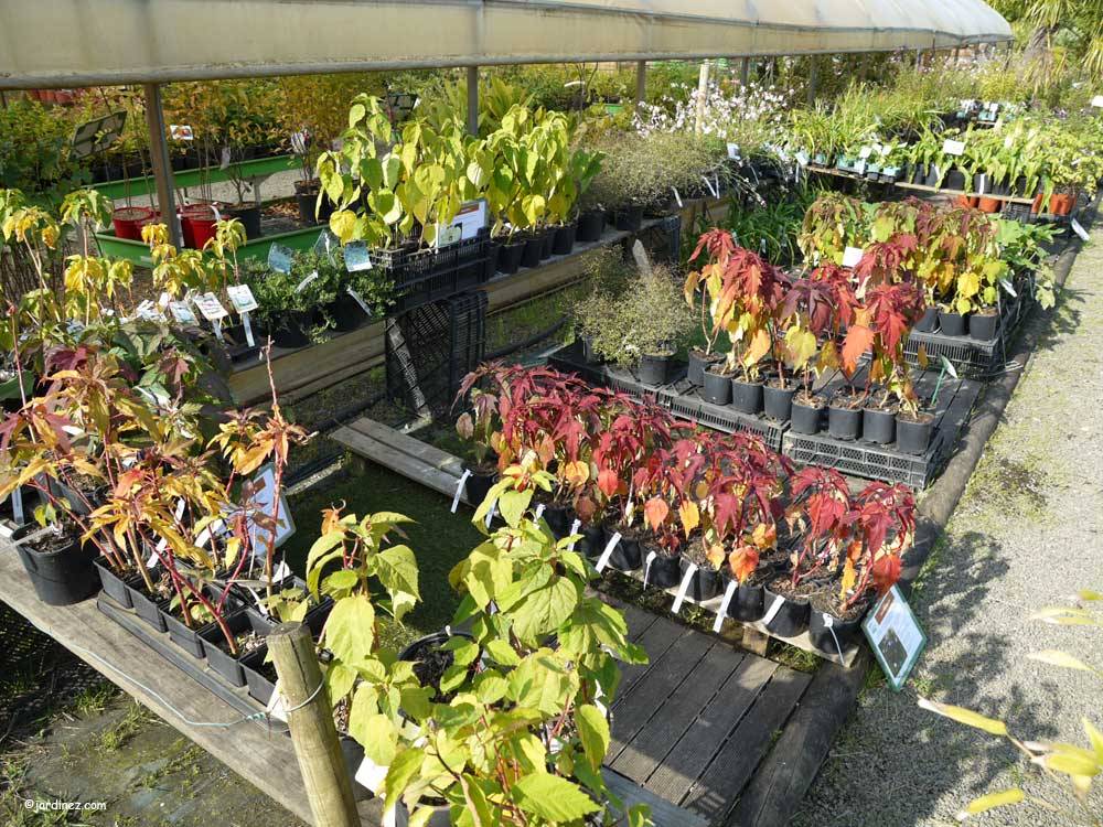 La Maison Du Bananier Coueron