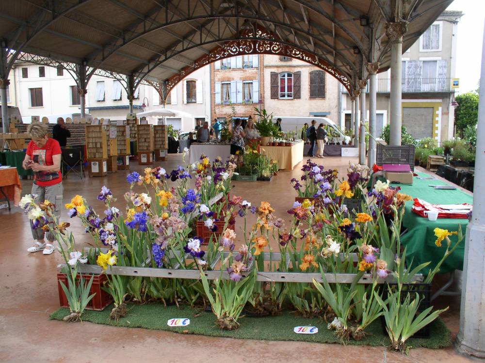 Papon Irises Nurseries photo 1