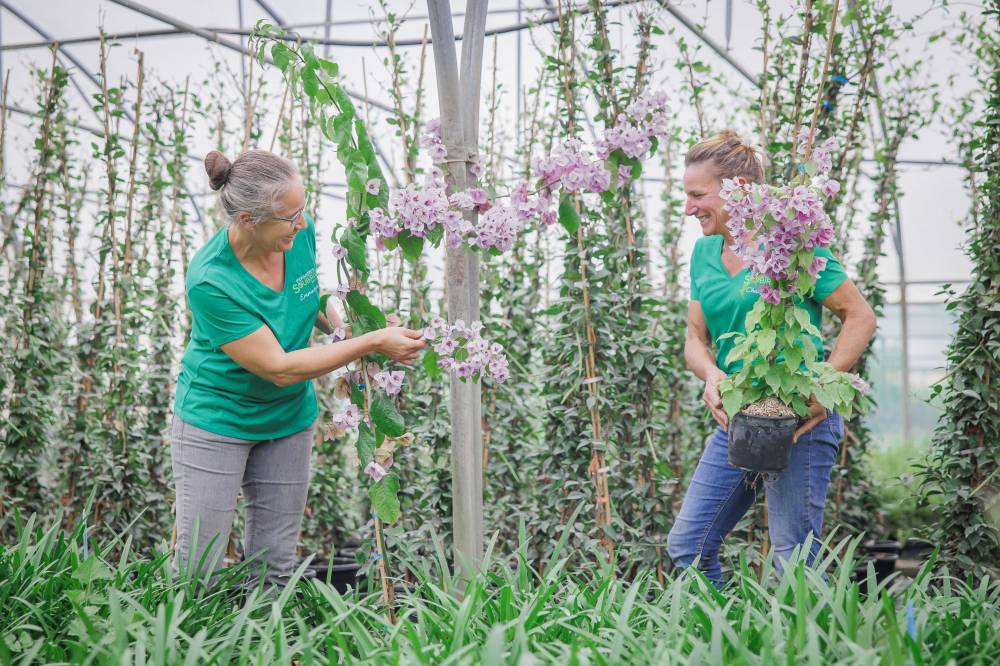 Soubiran Nurseries