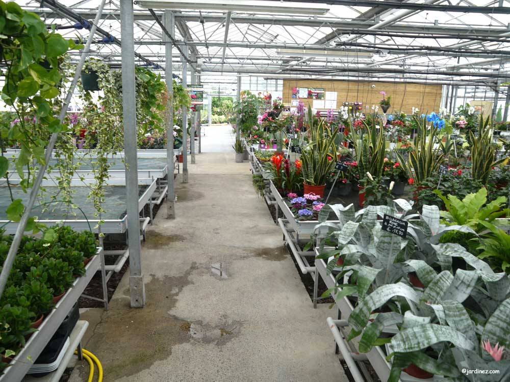 Greenhouses St Georges Horticulture Pavard photo 1