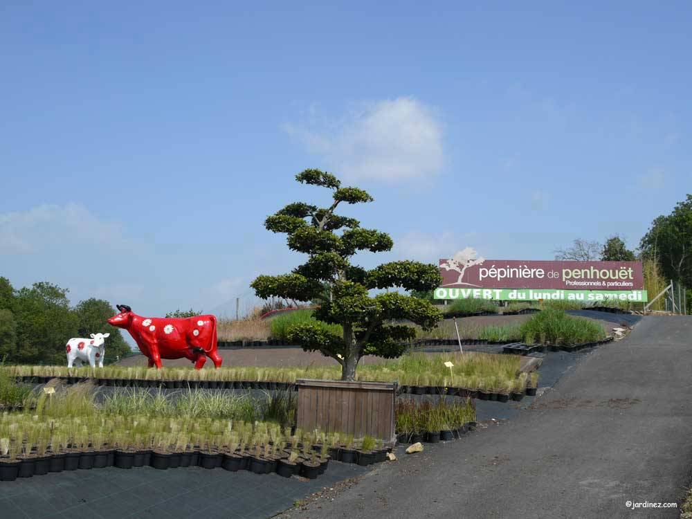 Penhouët Nursery