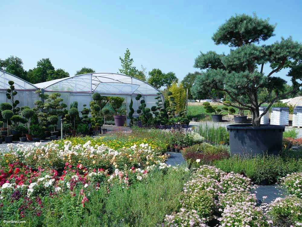 Bienvenue sur le site des pépinières Le Lestin, présentes en Bretagne