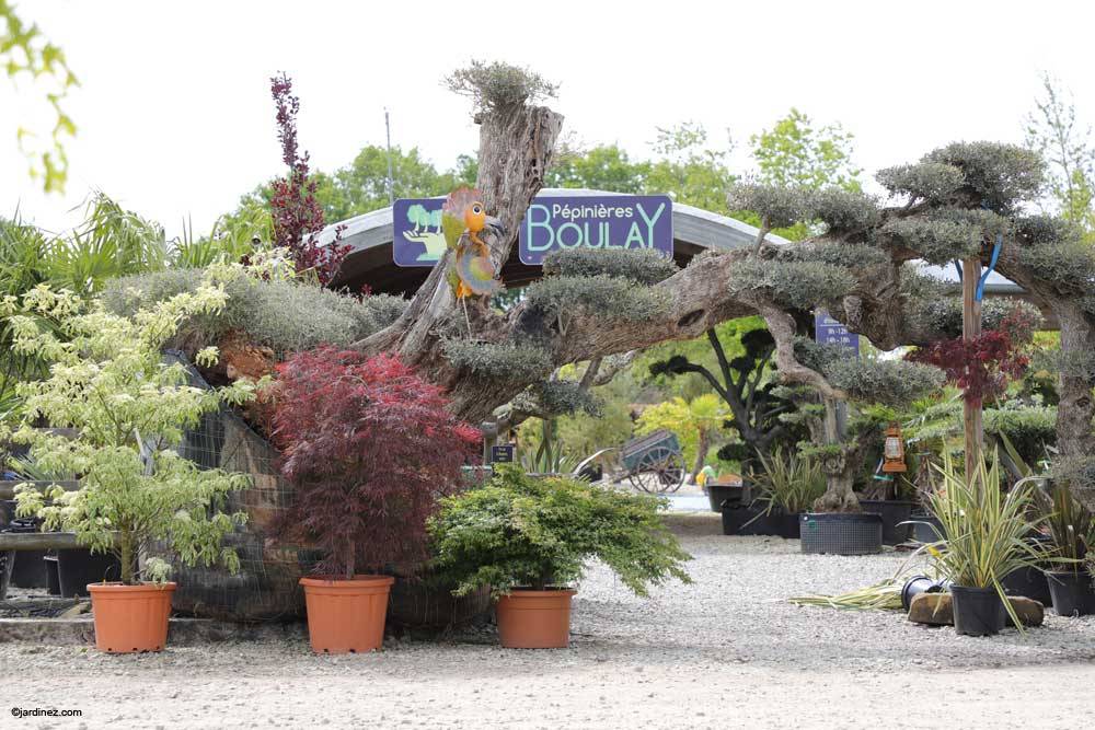 Boulay Nurseries