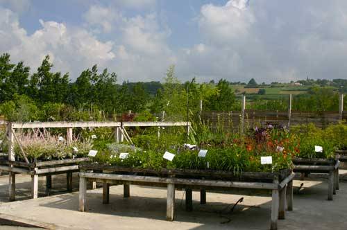 Pépinière du Jardin des Martels