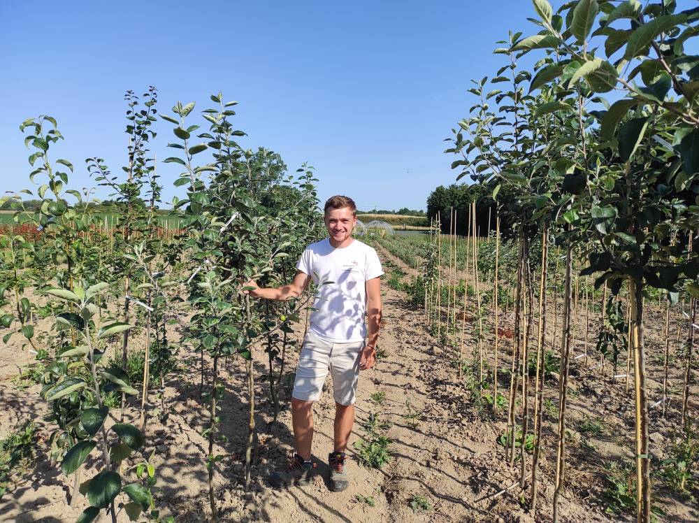 The Fruit Tree Nursery