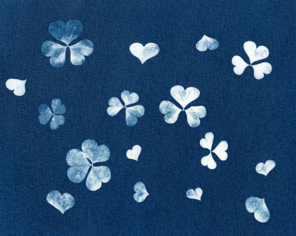 Atelier créatif cyanotype - Val-Revermont